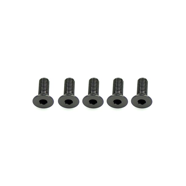 Alloy Csk Hex Screws M3 x 8 pk10