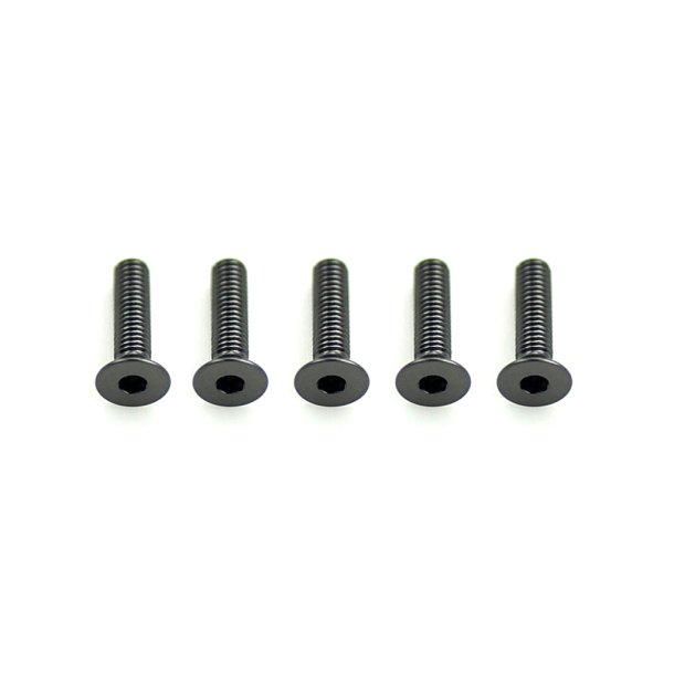 Alloy Csk Hex Screws M3 x 12 pk10